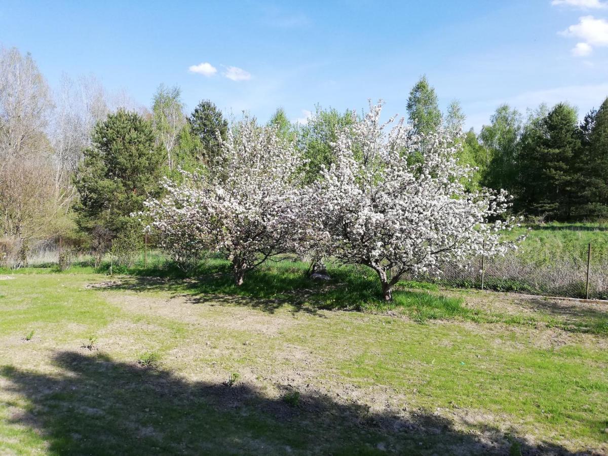 Przystanek Kozia Gora Apartment Bagian luar foto